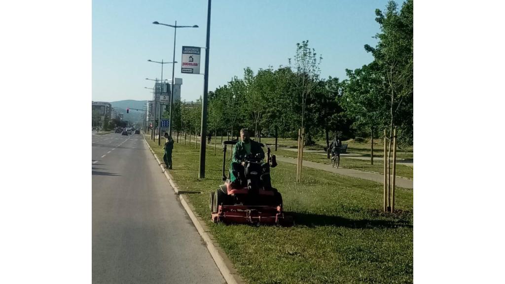 Radnici JKP Gradsko zelenilo Novi Sad radiće i tokom prazničnih dana