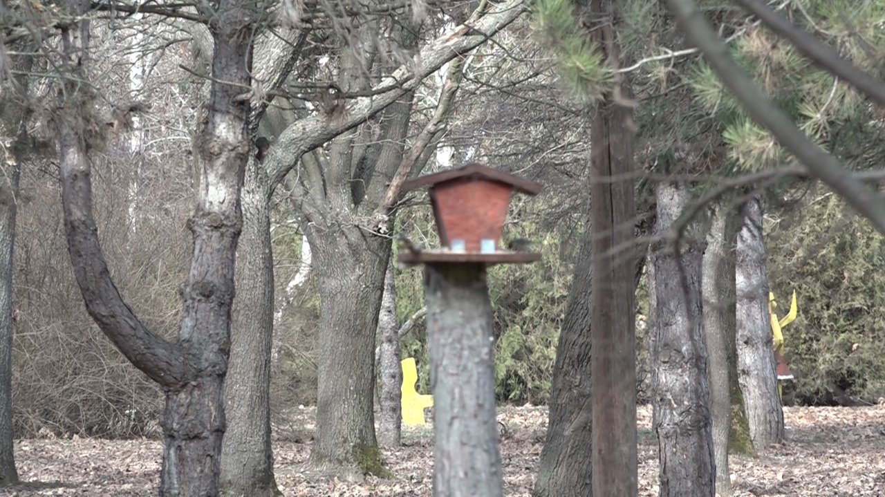 Briga o pticama Lazinog parka u zimskom periodu 