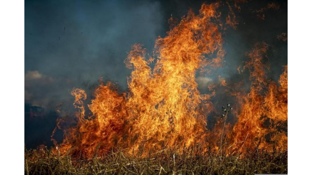 Pokrenut portal dim.rs preko kojeg se detektuju i prate požari na poljoprivrednim područjima