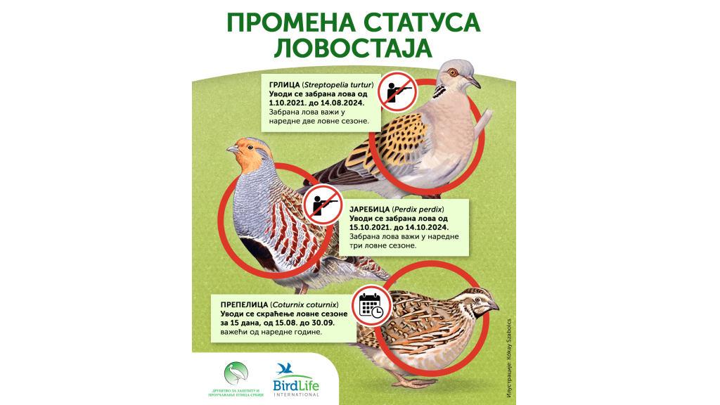 Važan korak ka zaštiti ugroženih ptica selica