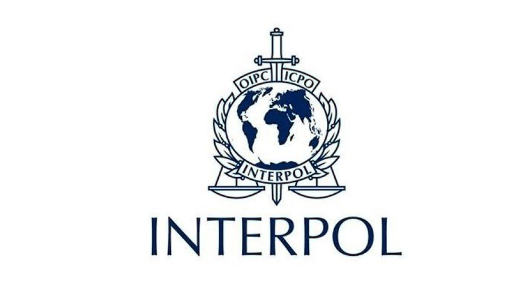 Interpol raspisao žutu poternicu zbog nestanka Danke Ilić