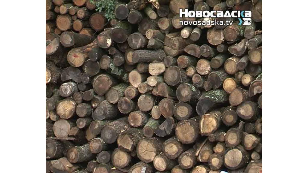 Vlada Srbije privremeno zabranila izvoz drvne građe i ogrevnog drveta