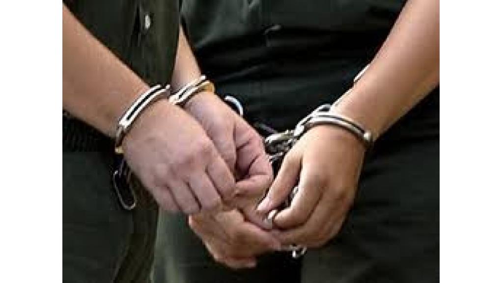 U Novom Sadu uhapšeno 12 osoba zbog izvršenja više koruptivnih krivičnih dela