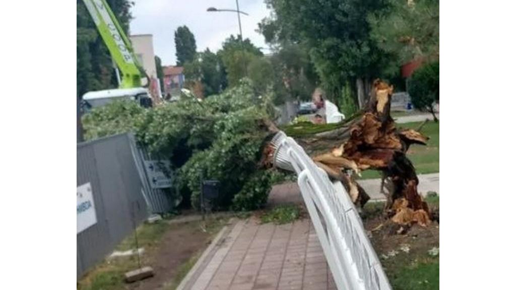 Drvo tokom nevremena palo na novu ogradu Isidorine gimnazije, na Kamenjaru leteli krovovi