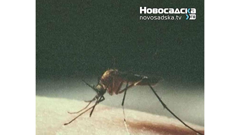 U nedelju počinju tretmani protiv komaraca