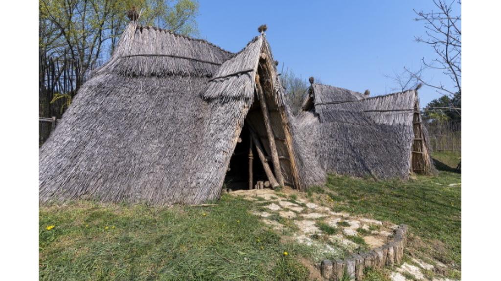 Novi Sad: Nakon pola veka velika izložba o neolitskom dobu