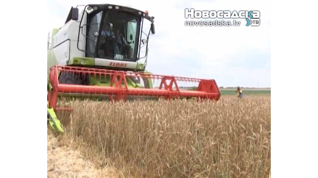 Nedimović: Vlada će skinuti zabranu izvoza žitarica