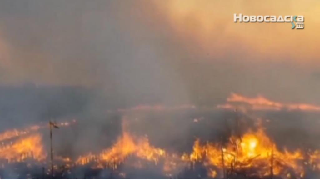 Požar u blizini novosadske rafinerije