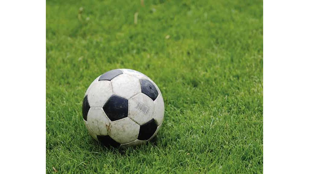 Fudbalski klub Vojvodina krenuo je u akciju omasovljenja navijača