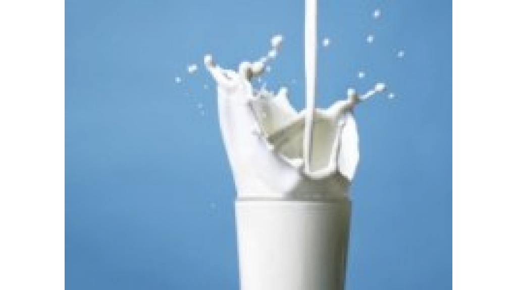 Ostaje zabrana izvoza mleka,skinuto ograničenje cene