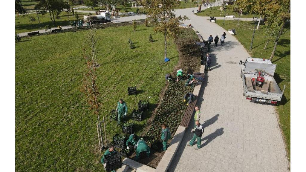 Sadnjom cveća u novom parku počelo jesenje ulepšavanje novosadskih parkova