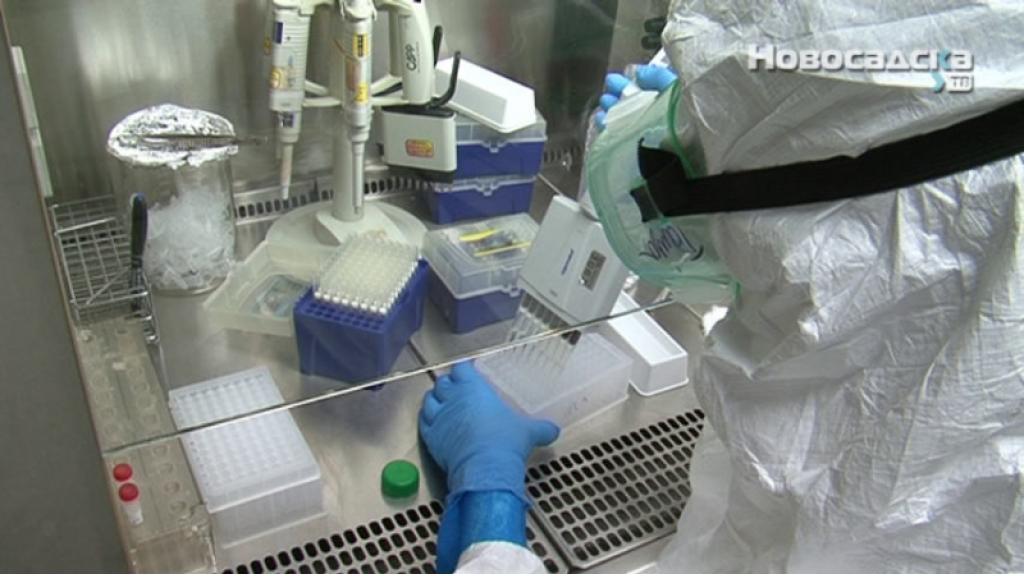 Bekić: Brojke zaraženih koronom nastaviće da rastu