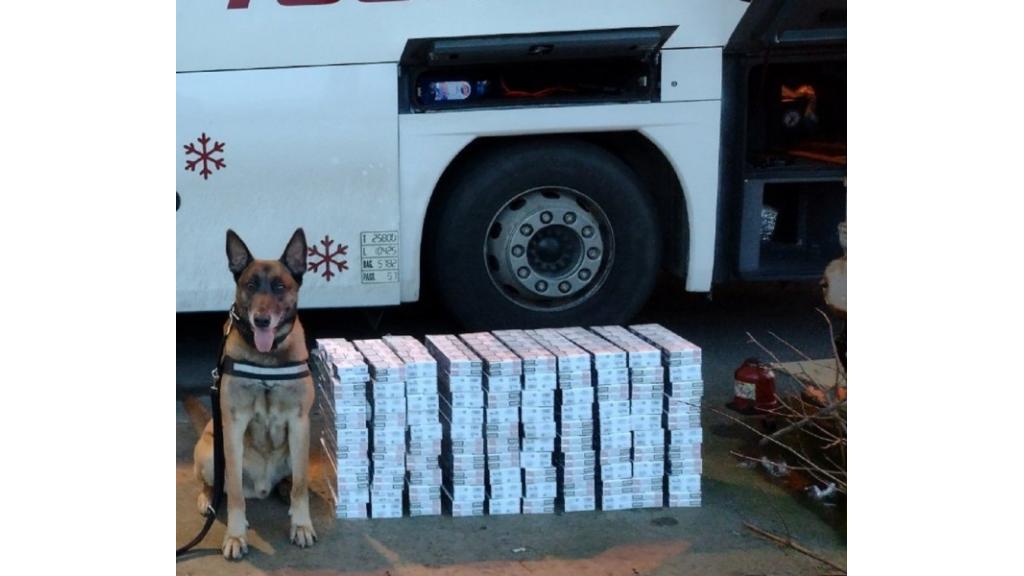 Carinski pas nanjušio tovar krijumčarenih cigareta