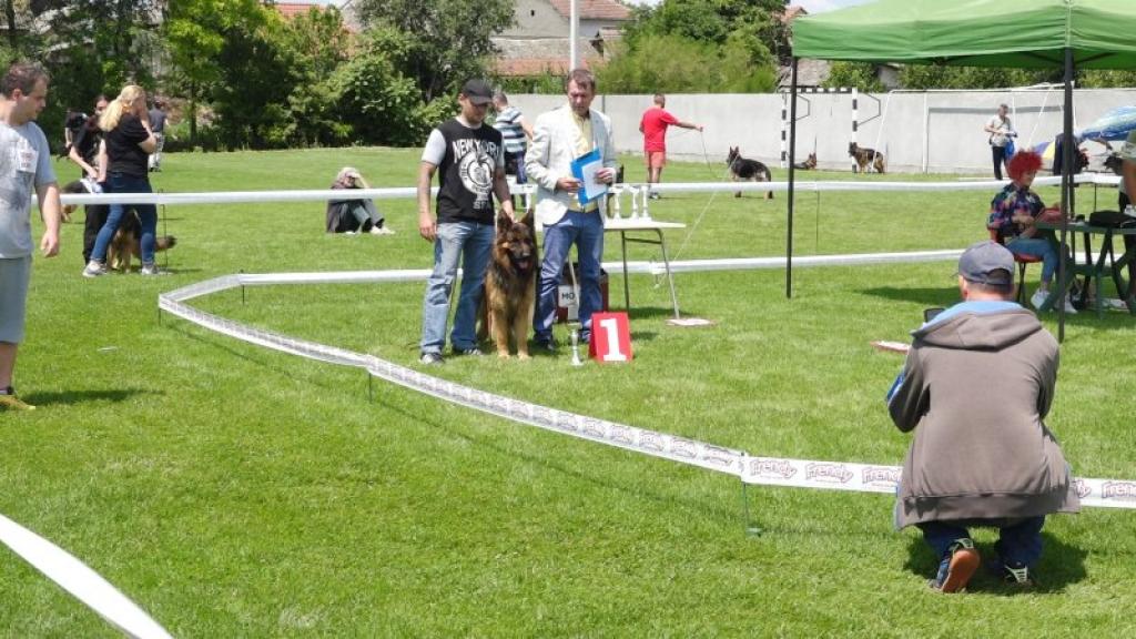 Izložba pasa održana u Sivcu
