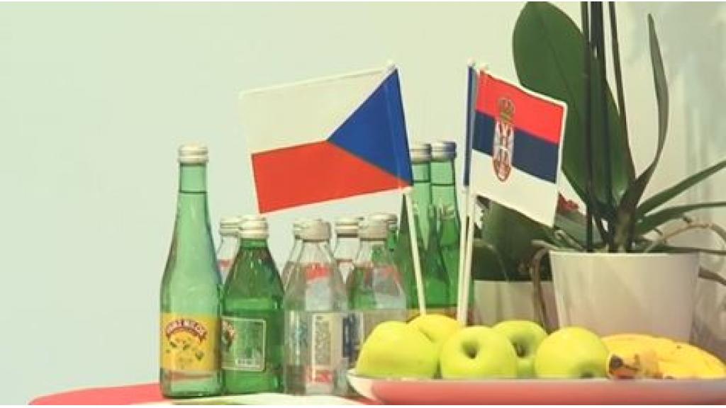 Tradicionalno dobri odnosi Srbije i Češke