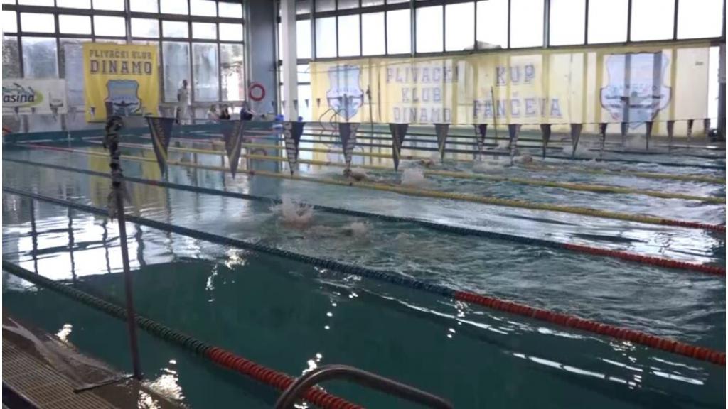 Plivači Dinama osvojili 90 medalja u Novom Sadu