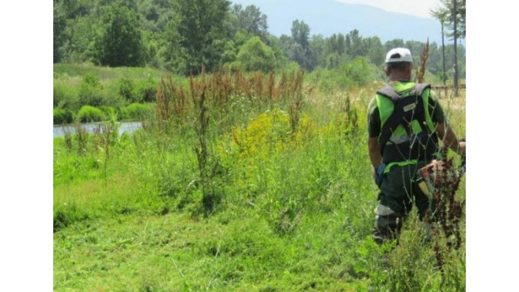 Pančevo i UNDP sprovode projekat „Mere za unapređenje kvaliteta vazduha u Pančevu“