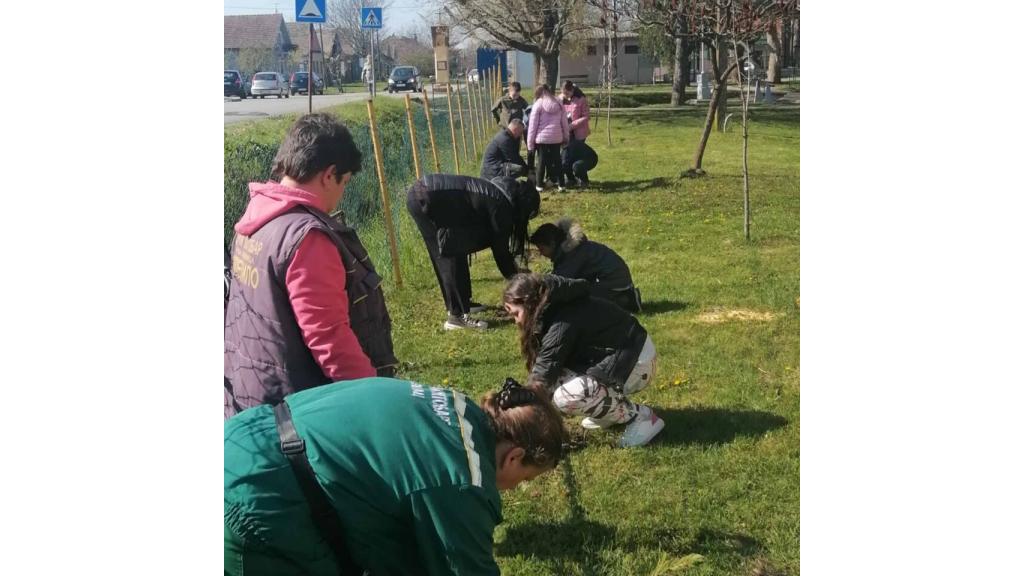 Više od 1.600 sadnica drveća posađeno tokom prolećne akcije u Vršcu
