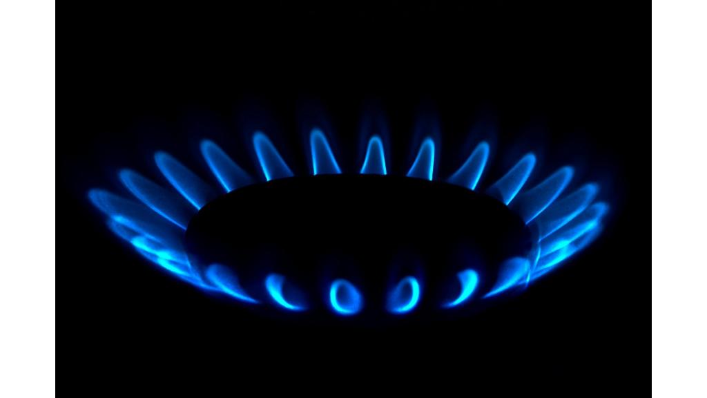 Država će snabdevačima i proizvođačima gasa nadoknaditi razliku u ceni