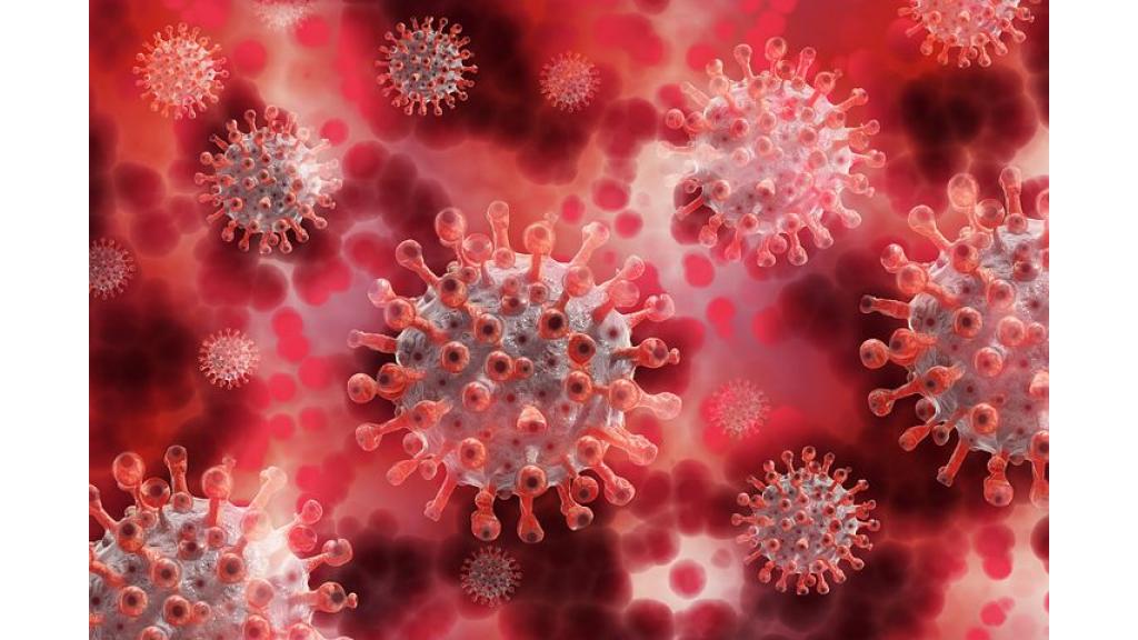 U Južnom Banatu 238 slučaja novozaraženih korona virusom