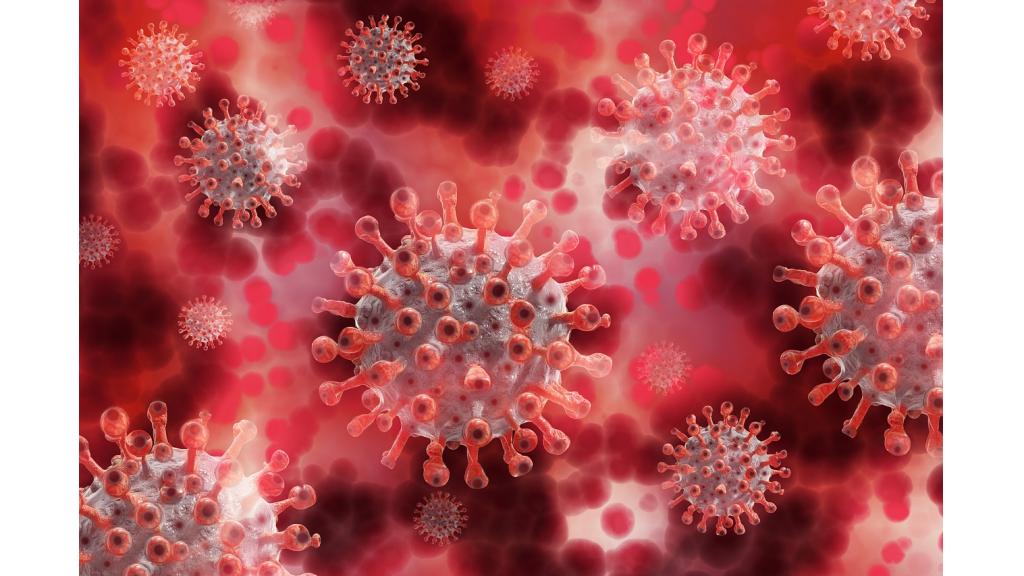 U Zrenjaninu najviše zaraženih korona virusom