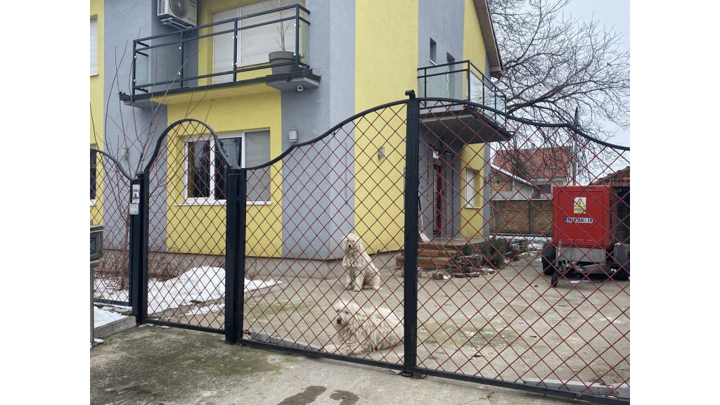 Zrenjaninci i građani Srbije saglasni- Najstrože kazniti zlostavljača pasa