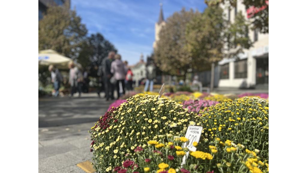 Cvetna pijaca na Trgu slobode u Zrenjaninu