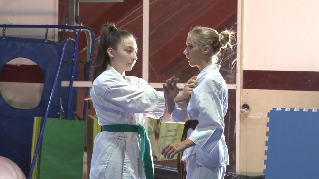 Internacionalni karate seminar u Zrenjaninu