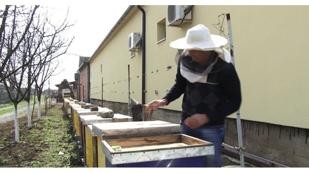 Subvencije države pčelarima 800 dinara po košnici