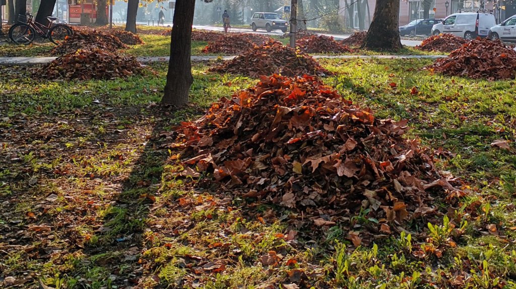 Od subote velika jesenja akcija odnošenja biljnog otpada iz domaćinstava vrbaske opštine