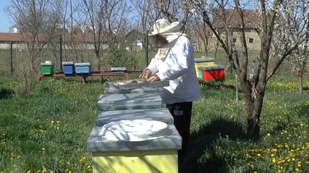Pčelarstvo u opštini Vrbas sve popularnije zanimanje
