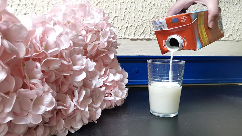 Raspisan Javni poziv za premiju za mleko za prvi kvartal ove godine