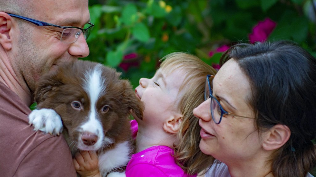 Porodica Bakić neguje i odgaja najinteligentije pse na svetu