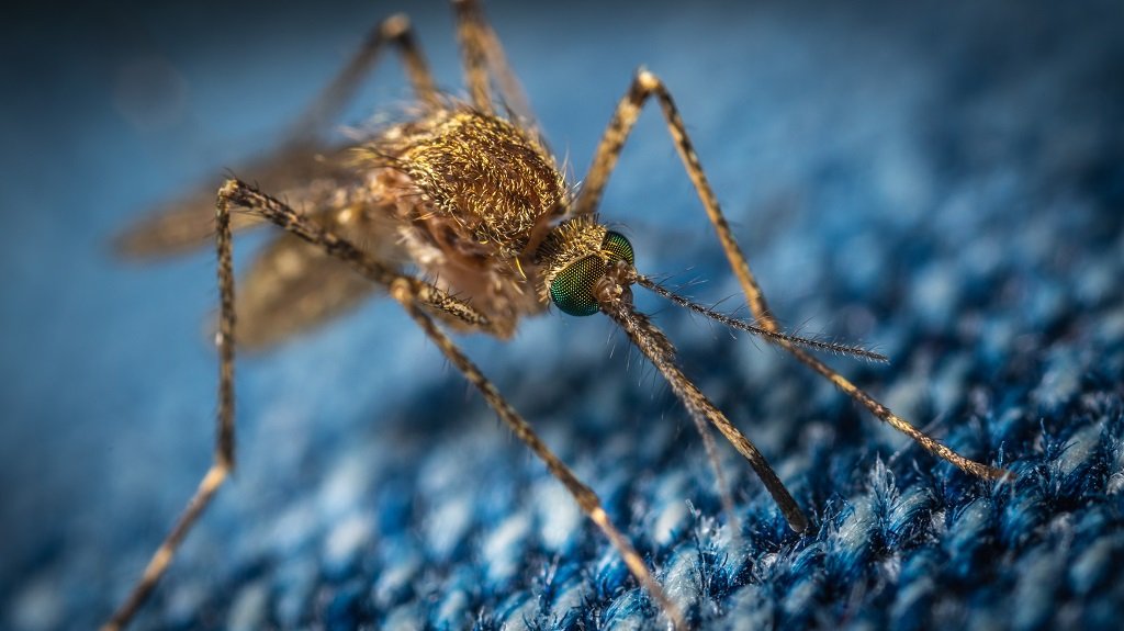 Obaveštenje o zaprašivanju komaraca
