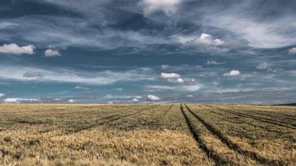 Povoljni uslovi za radove na otvorenom polju i završetak setve pšenice