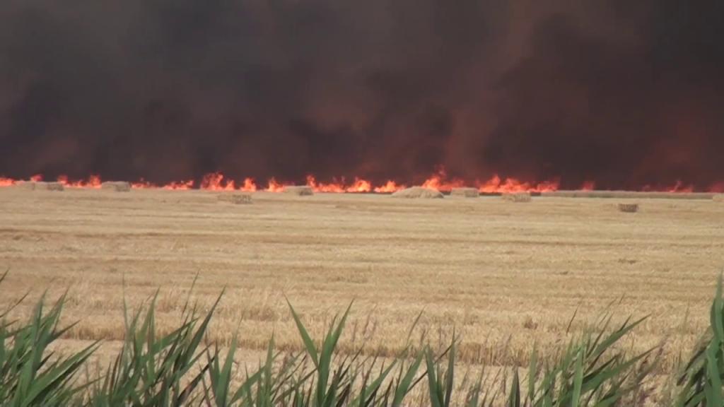 Požar uništio 140 hektara strnjišta, 24 hektara pšenice i 600 rolo bala