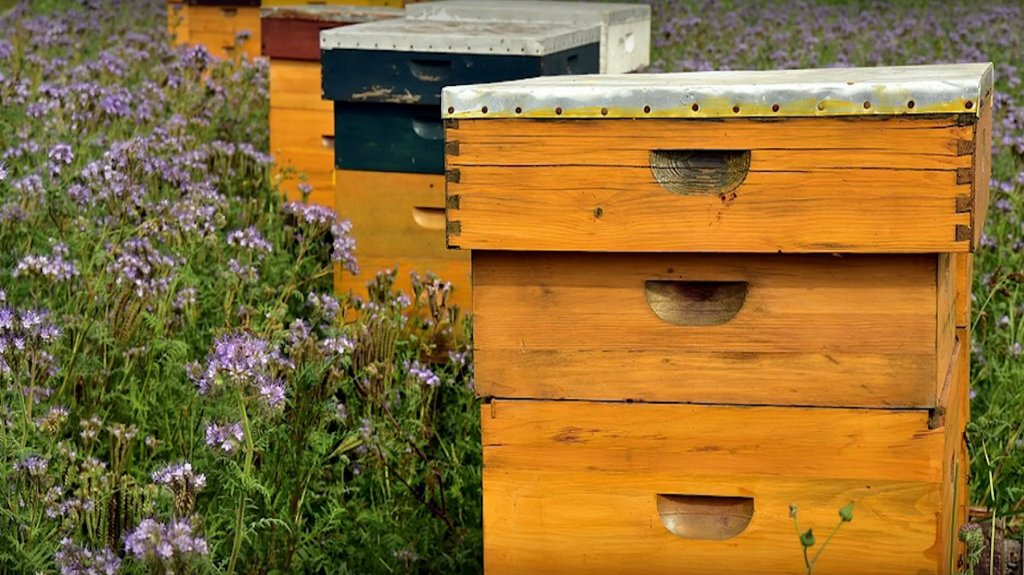 Elektronsko podnošenje zahteva za pravo na podsticaje po košnici pčela 