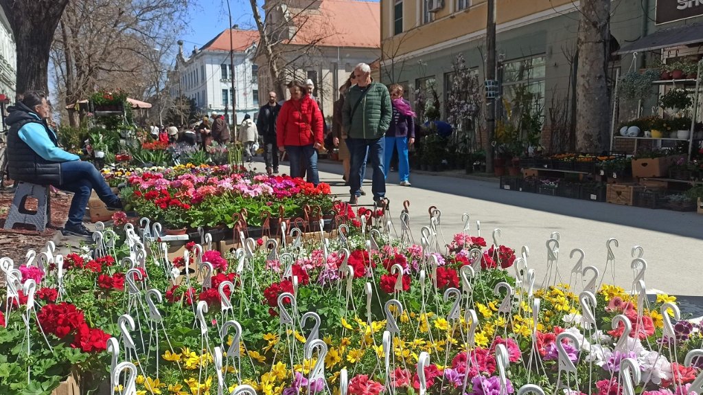 Boje i mirisi sa Festivala cveća privukli veliki broj posetilaca