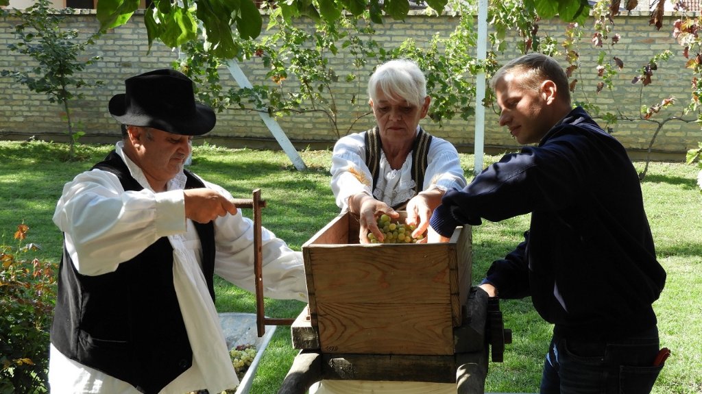 Jubilarni 10. susret vinogradara Vojvodine uz tradicionalnu berbu i preradu grožđa