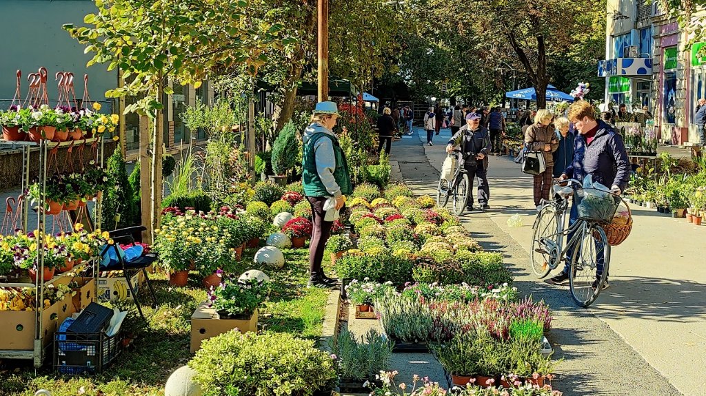„Festival cveća“ i ove jeseni obojio centar grada