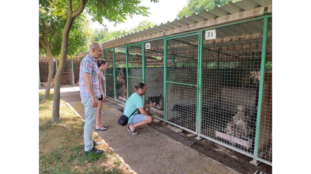 Prihvatilištu za napuštene pse i mačke u Somboru donirano 100 kilograma hrane za pse