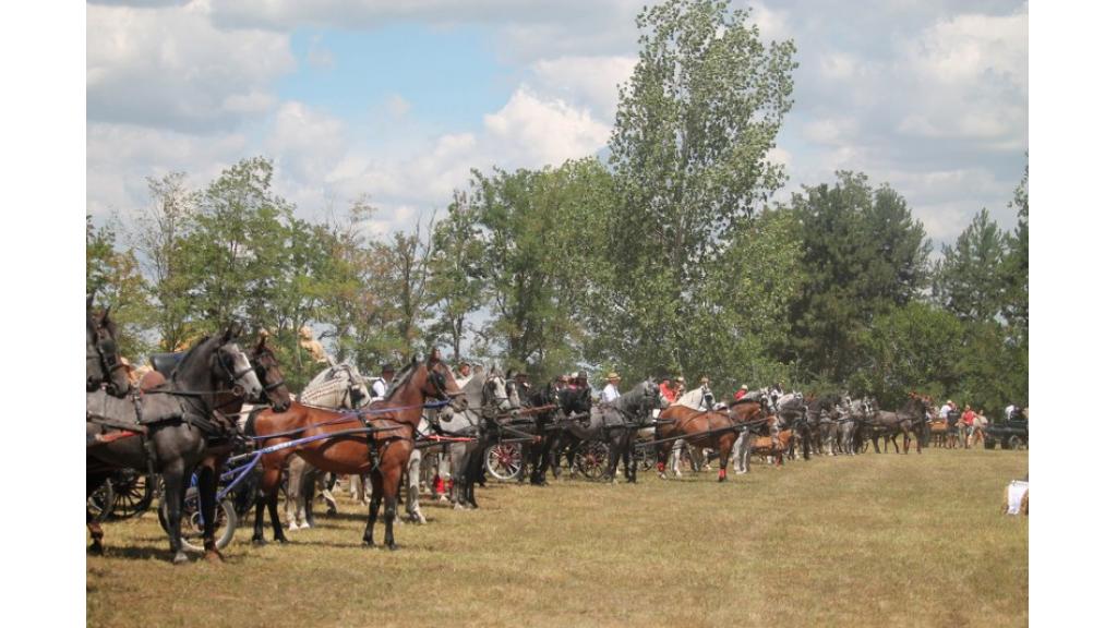 Fijakerijada „Konji naši razigrani“ u Doroslovu okupila ljubitelje zaprega