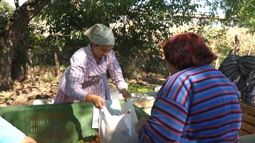 Festival voća u Tavankutu privukao ljubitelje jabuke s peska