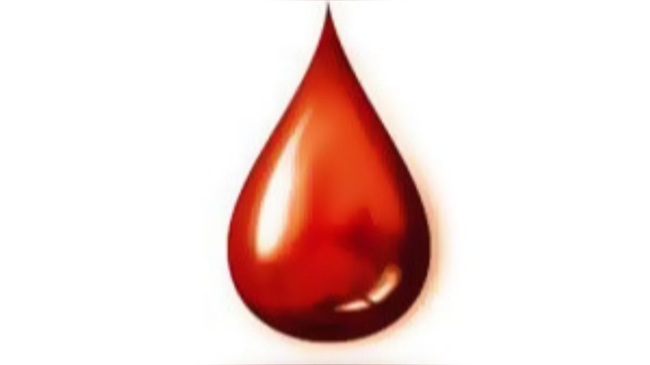 Akcija dobrovoljnog davanja krvi u Bajmoku