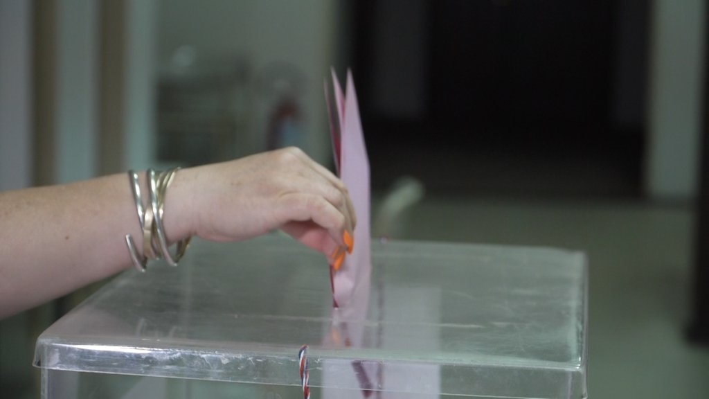 Pravo glasa do 11 sati iskoristilo 14,5 odsto birača u Subotici
