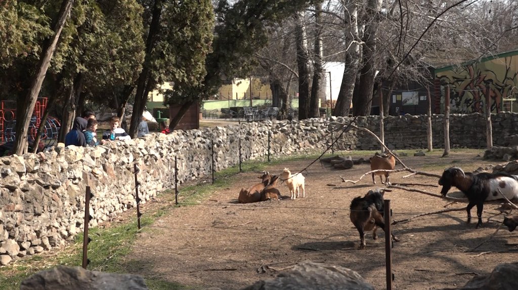 Zoo-vrt na Paliću obeležio Svetski dan divljih vrsta 
