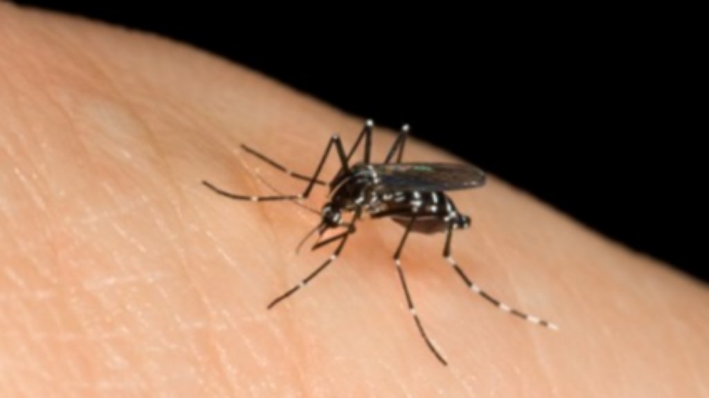 Kombinovani tretman suzbijanja komaraca od 4. do 11. jula