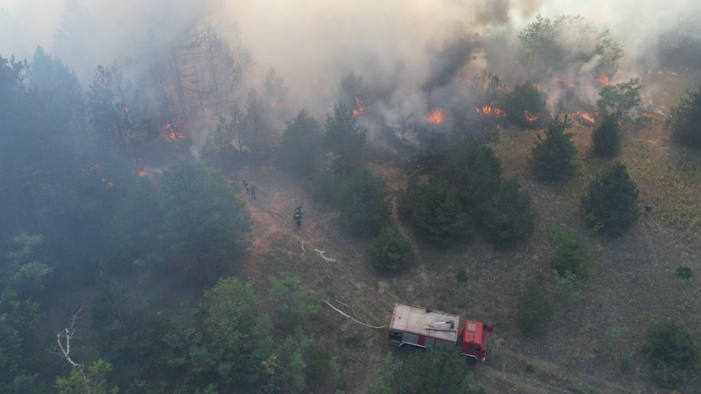 Gorela Radanovačka šuma, vatrogasci obuzdali požar nakon dva sata
