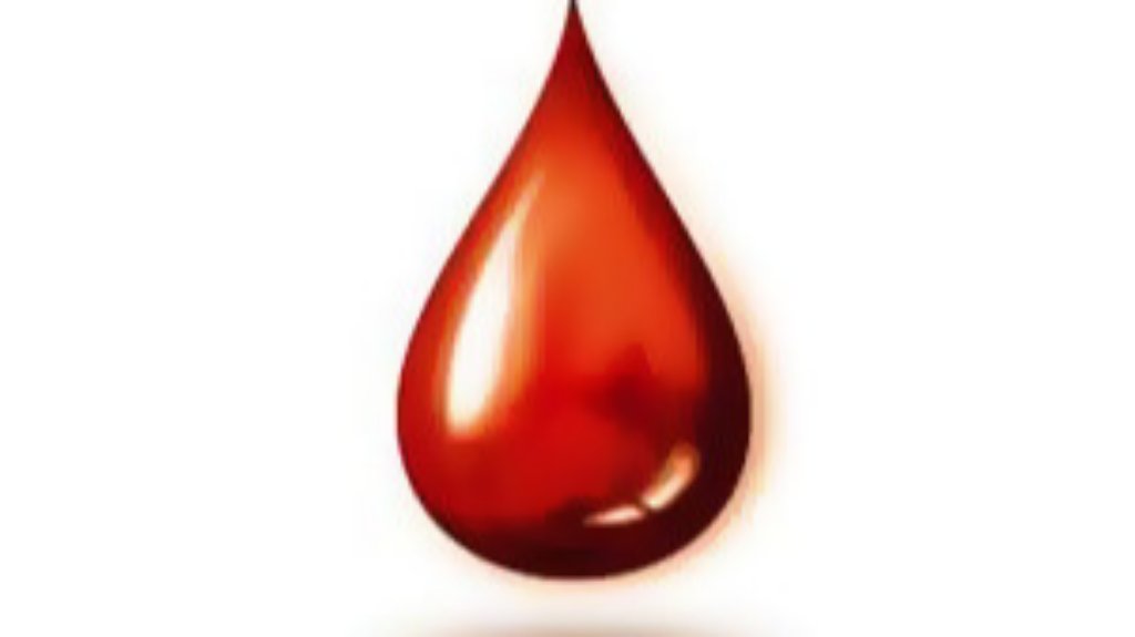 Akcija dobrovoljnog davanja krvi u Bajmoku