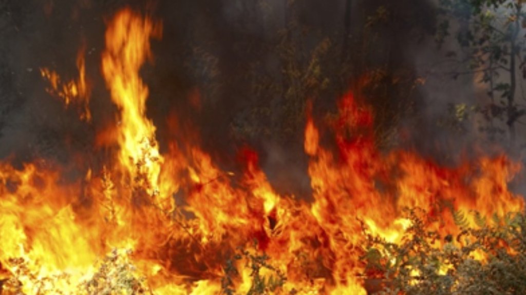 Iz MUP-a apeluju na građane da ne spaljuju rastinje i ne lože vatru u šumi i po obodima šuma